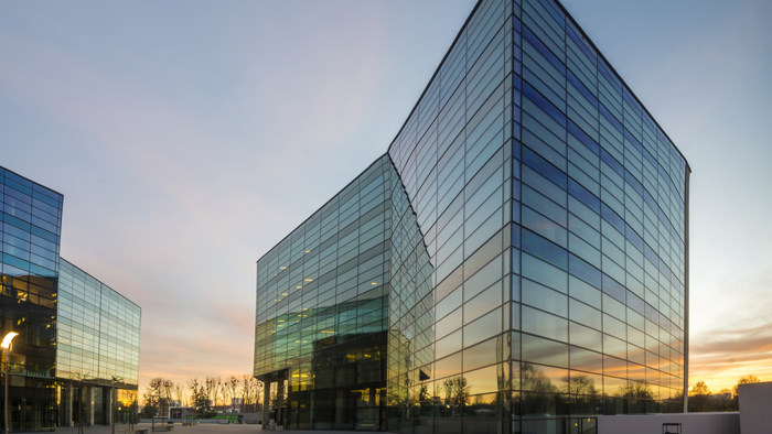 representación legal